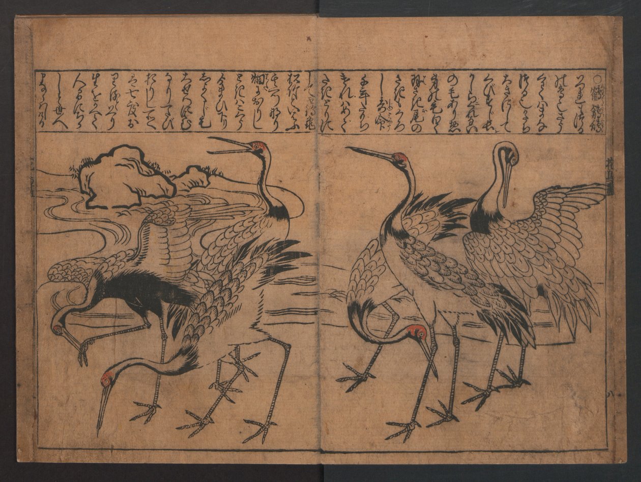 Illustrationen von Vögeln und Blumen (Kachō e-zukushi) alkotó: Hishikawa Moronobu
