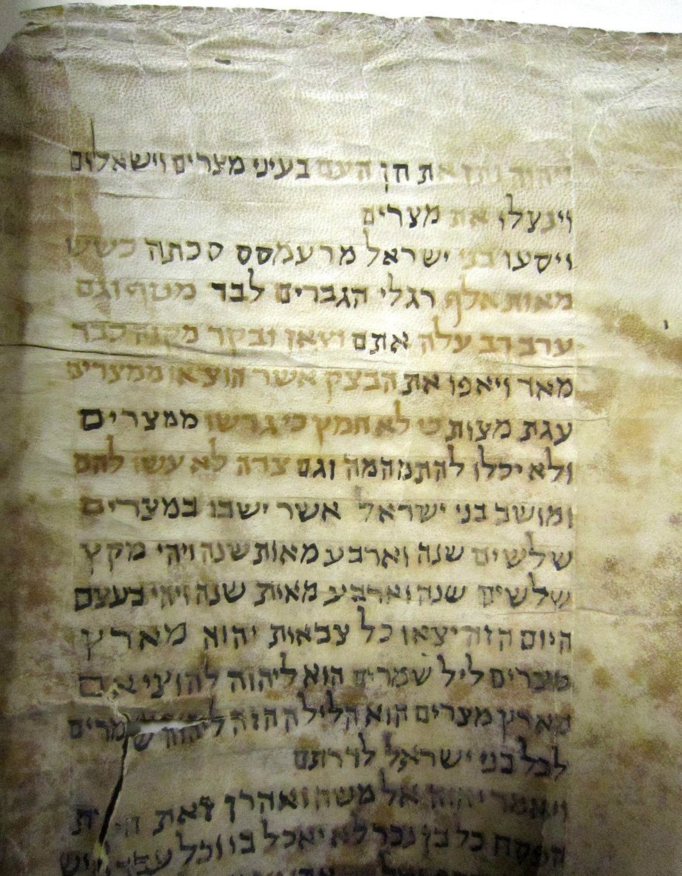A kínai Kaifeng zsidó közösségének tóratekercse alkotó: Historical Document
