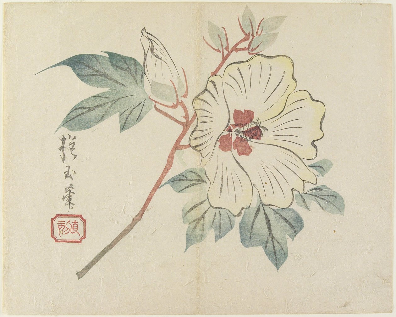 (Nagy fehér virág), c. 1830 alkotó: Hogyoku