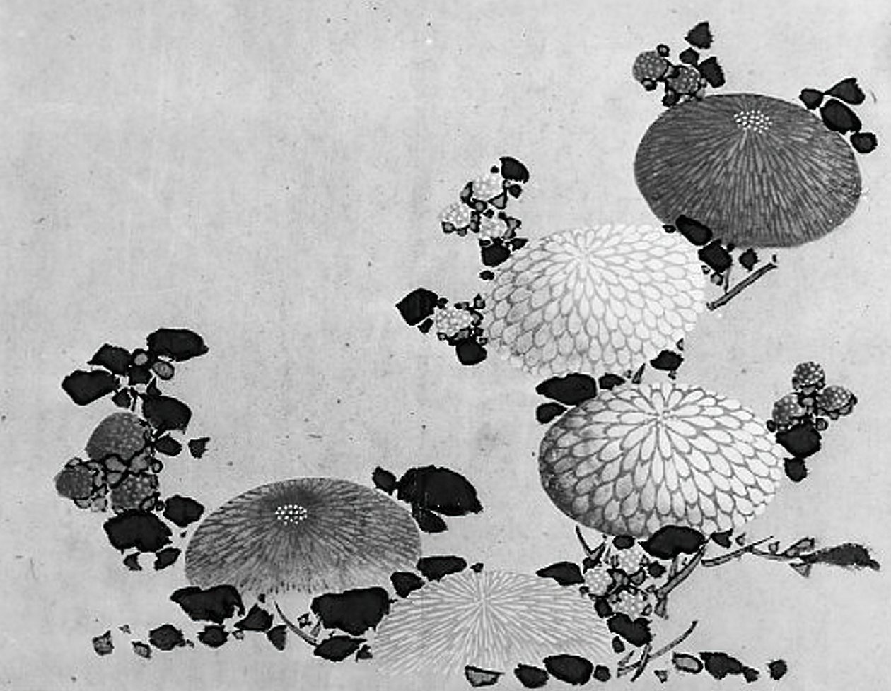 Krizantémok, 19. század. alkotó: Hokusai School.
