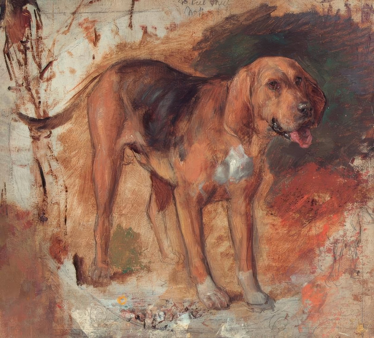 H.Hunt, Vérkutyák tanulmányozása alkotó: Holman Hunt