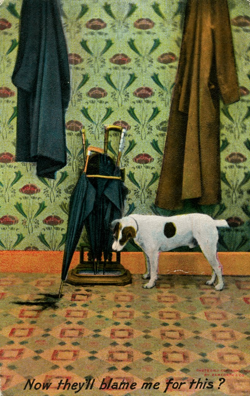 „Most engem fognak hibáztatni ezért”, c1910. alkotó: Holmfirth Bamforth and Co