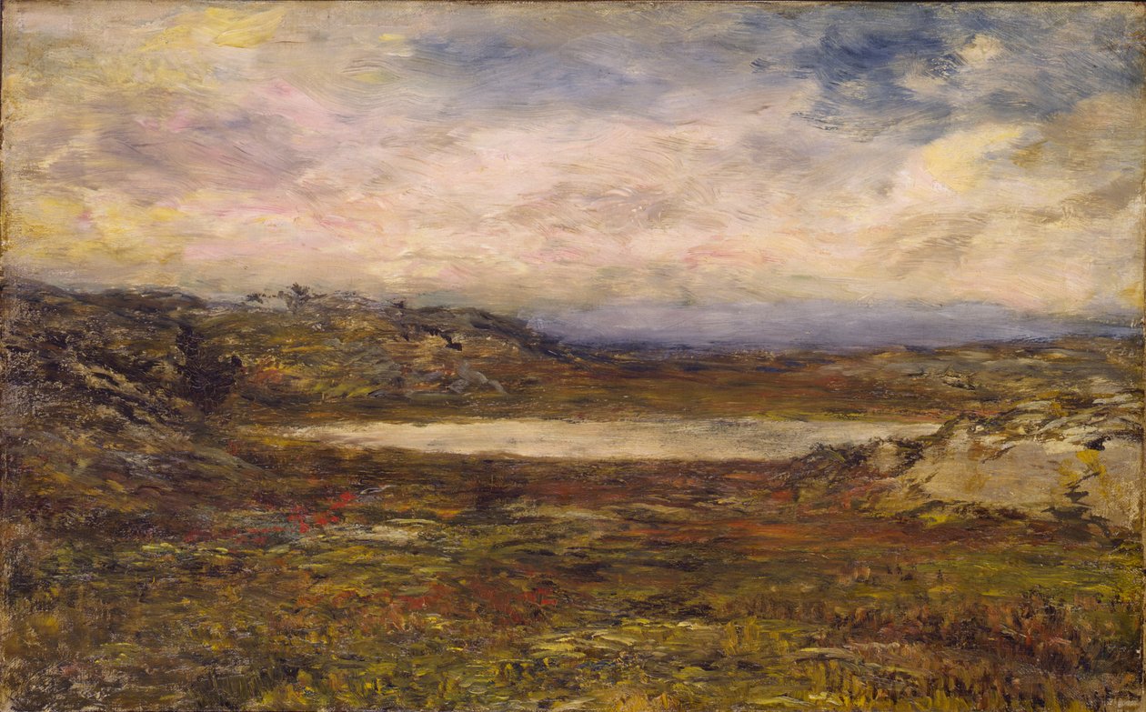 Wild Coast, Newport alkotó: Homer Dodge Martin