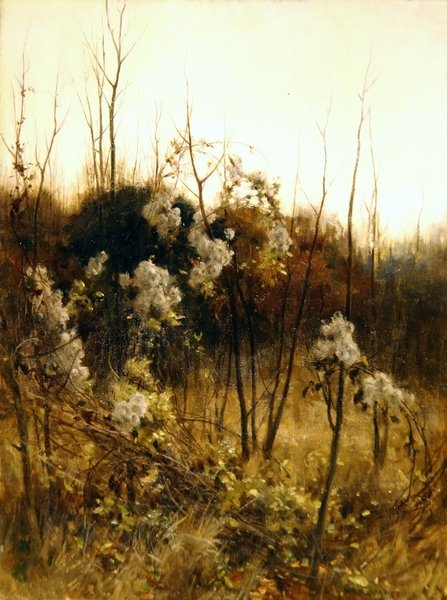 Utazók öröme alkotó: Hon. Walter John James