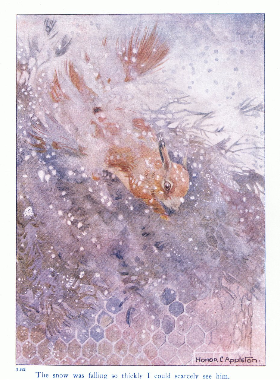 A hó olyan sűrűn esett, hogy alig láttam, illusztráció Eleanor Tyrell „Továbbiak a mókusokról” című művéből, 1915 körül (színes litó) alkotó: Honor Charlotte Appleton