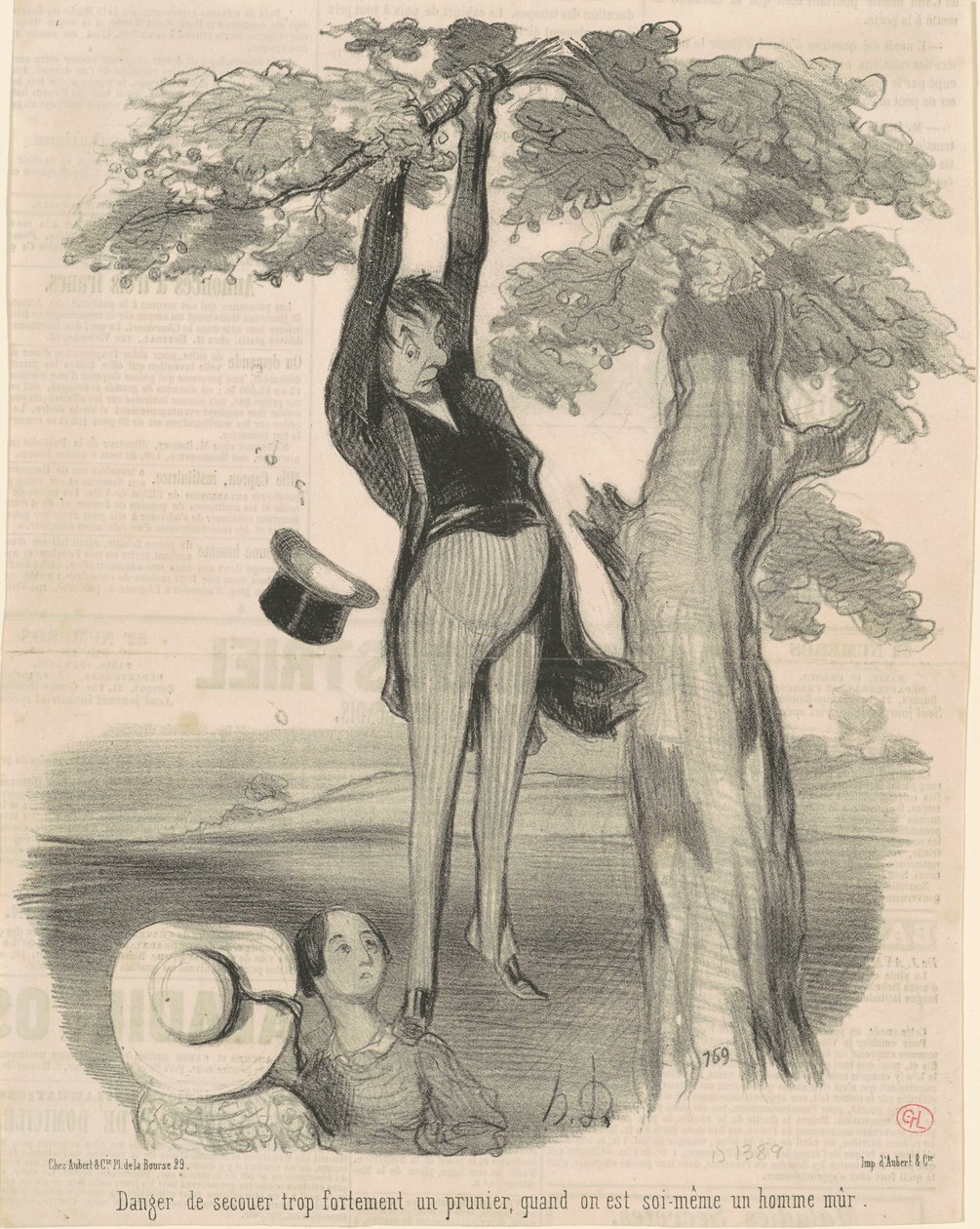 Túl erős rázás veszélye... Szilvafa alkotó: Honoré Daumier