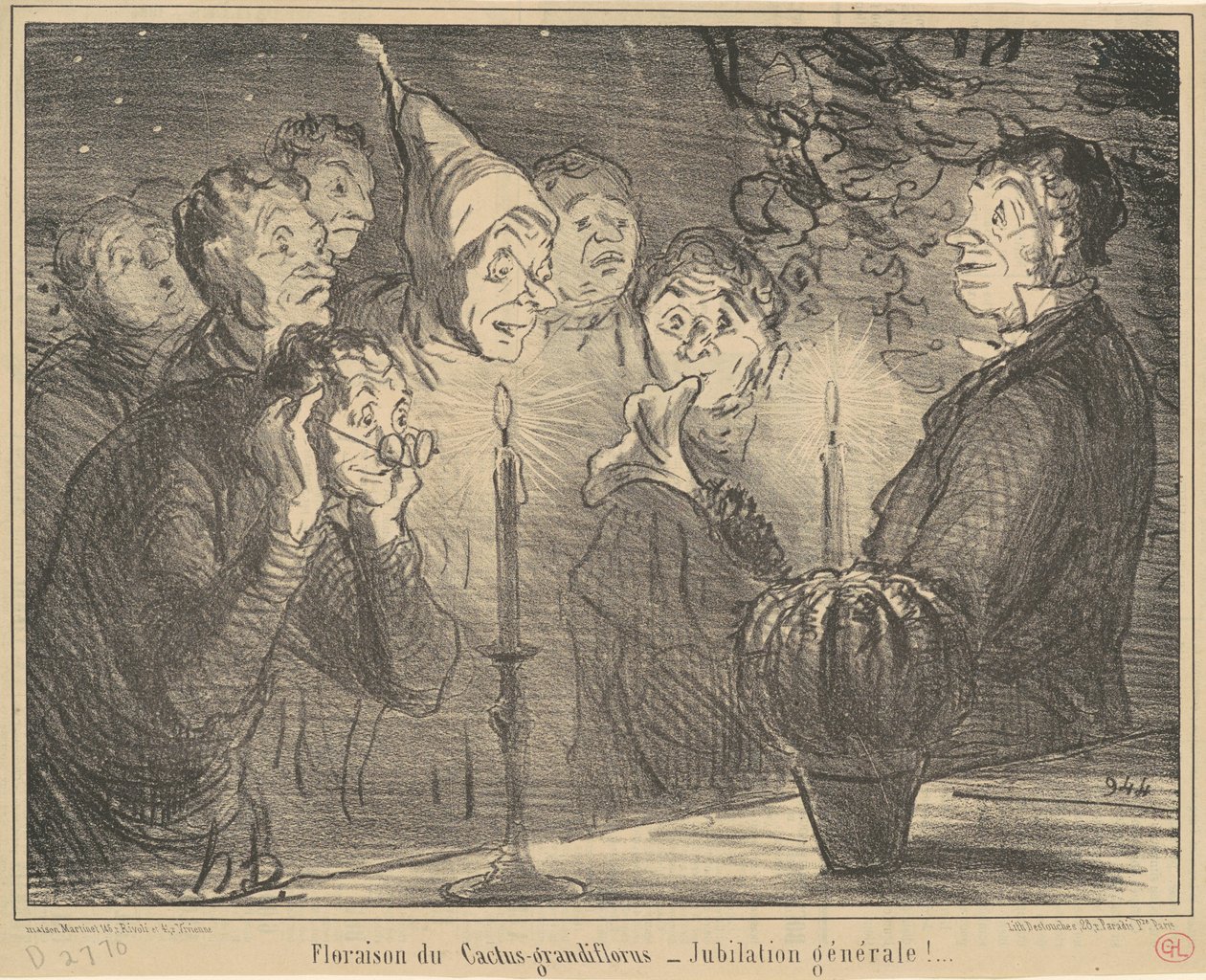 A kaktusz-grandiflorus virágzása... alkotó: Honoré Daumier