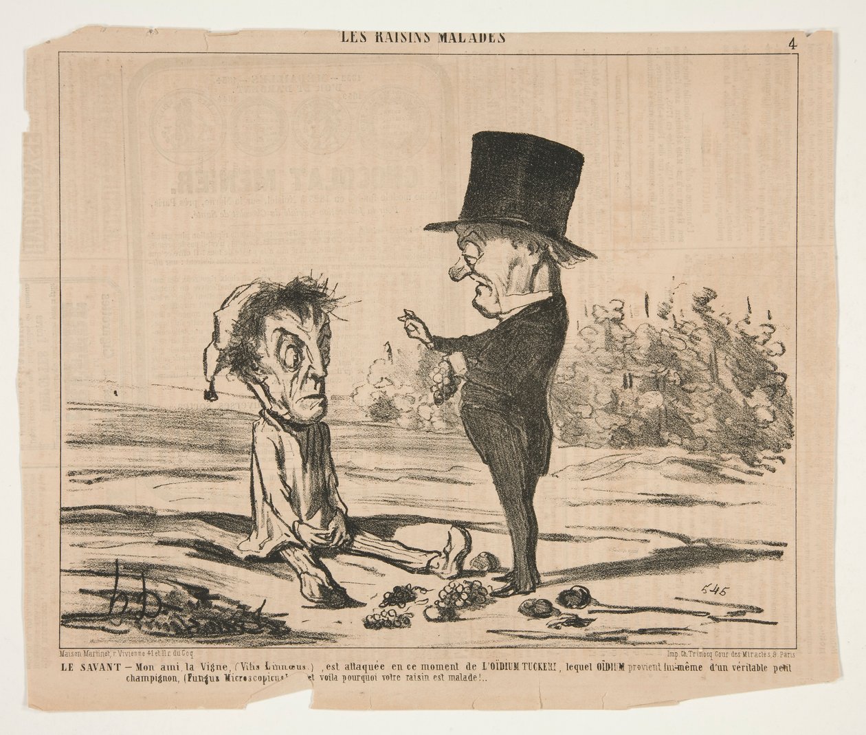 A Tudós – Barátomat, a szőlőt (Vitis Linnaeus.) jelenleg támadják alkotó: Honoré Daumier