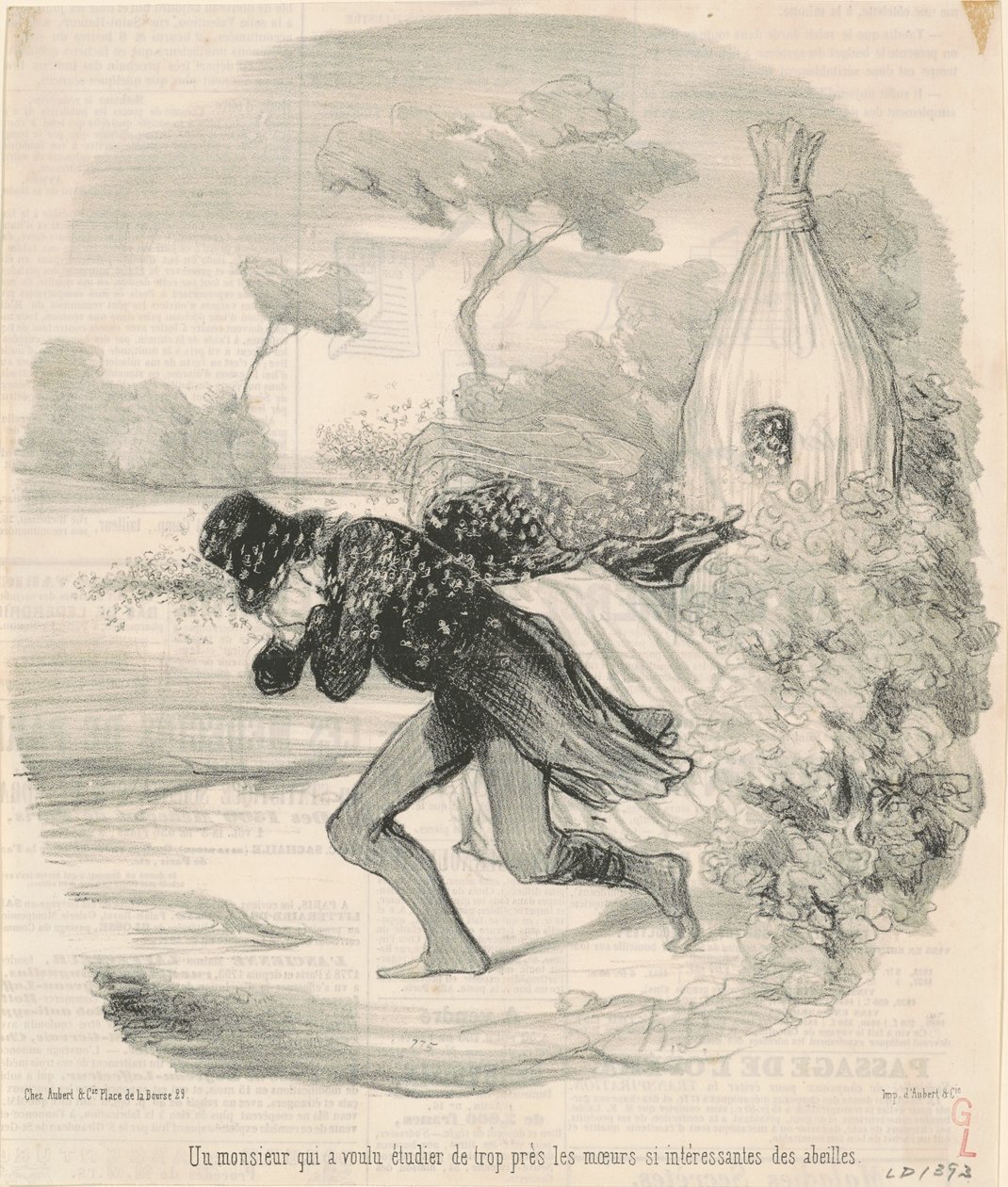 Egy úriember, aki a méhek erkölcseit akarta tanulni alkotó: Honoré Daumier