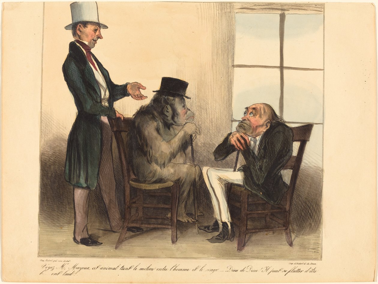 Lásd, Mayeux úr, ez az állat... alkotó: Honoré Daumier