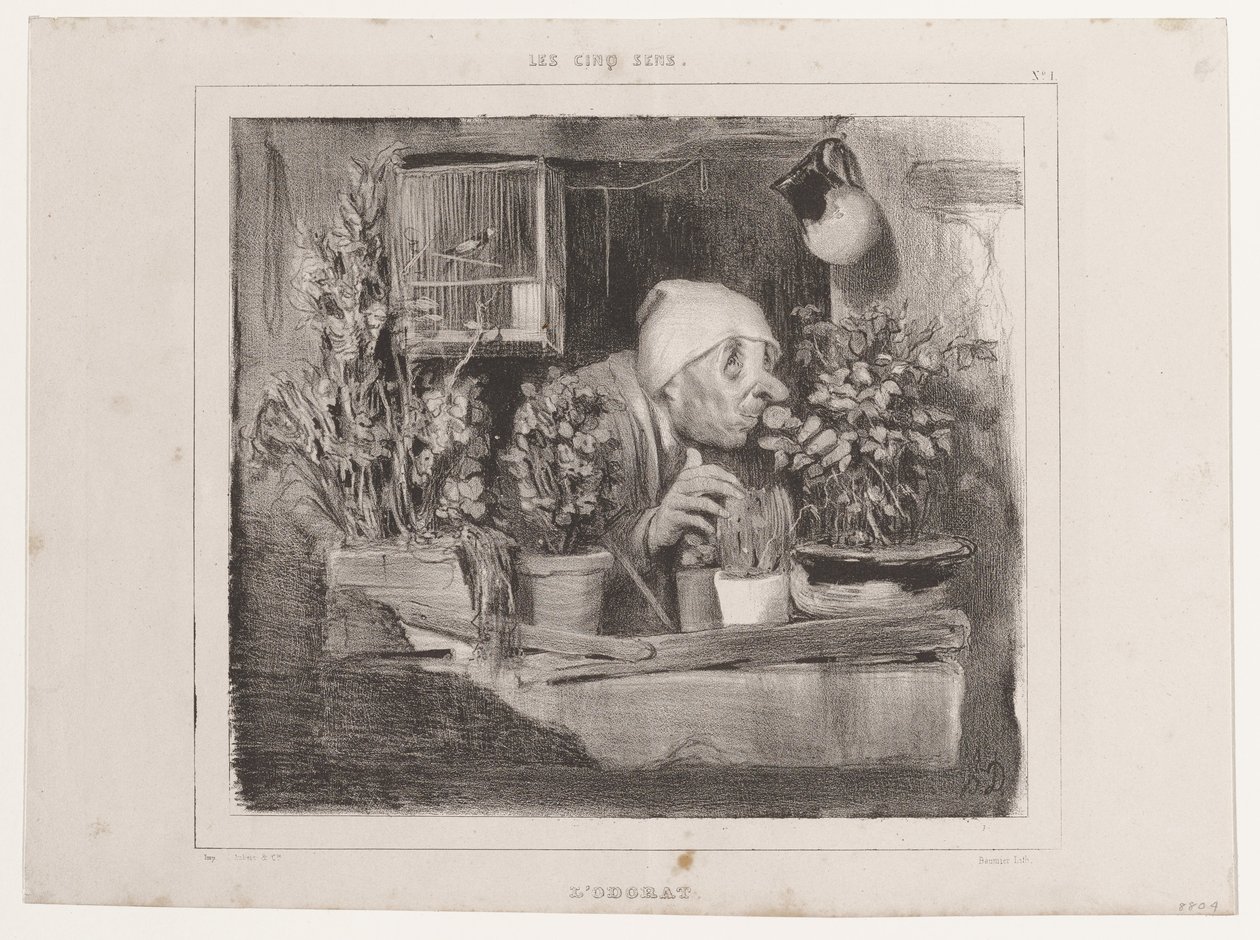 A szaglás (Az öt érzék), a La Caricature-ból alkotó: Honoré Daumier