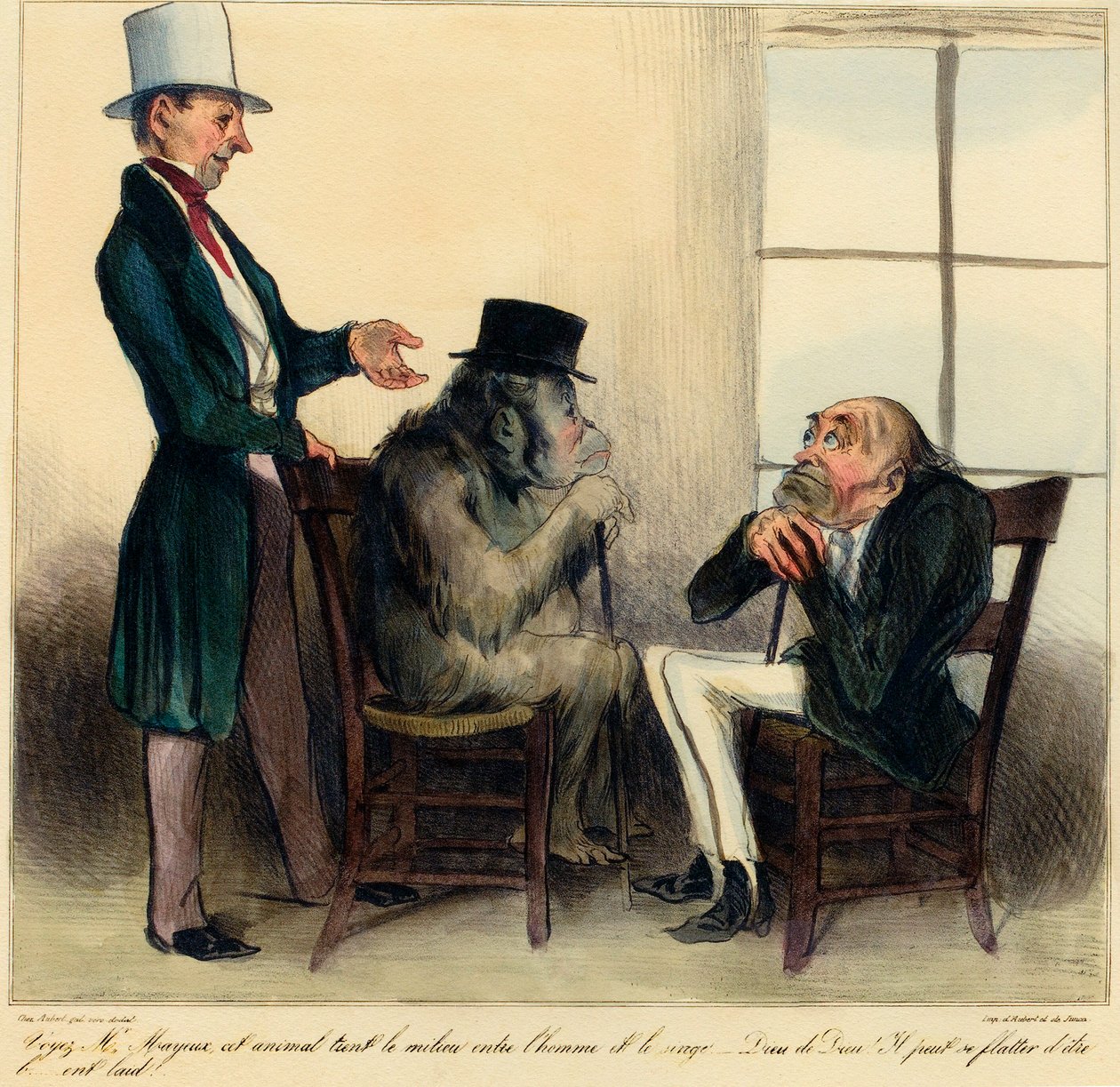 Lásd Mr. Mayeux, ez az állat tartja a középutat ember és majom között – az isten szerelmére! Tud hízelegni magának, hogy csúnya!"Karikatúra, amely egy orángután és egy ember közötti hasonlóságokat ábrázolja - Honore Daumier (1808-1879) rajza a "Charivari"- alkotó: Honoré Daumier