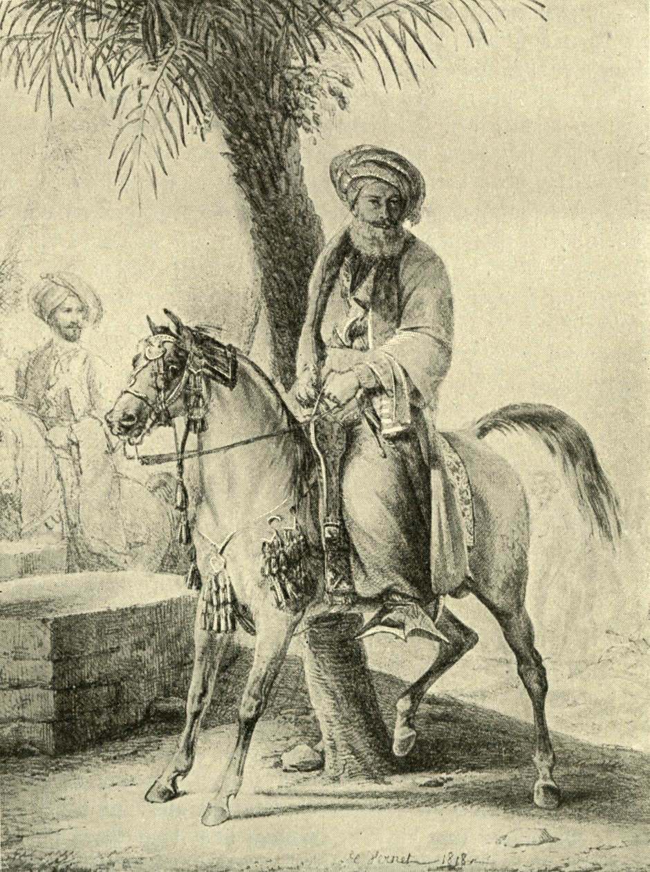 Muhammad Ali Egyiptomból - alkotó: Emile Jean Horace Vernet