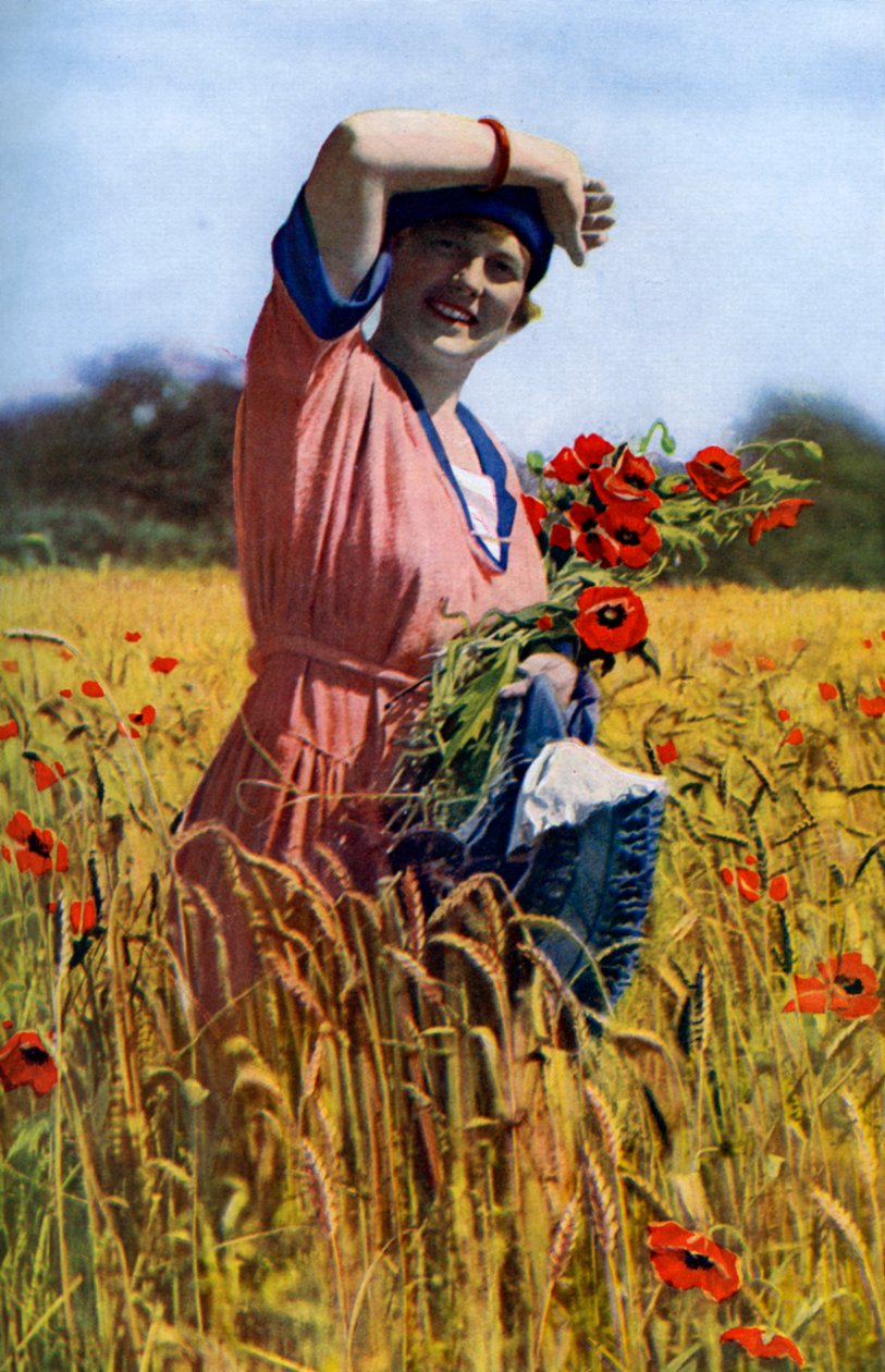 Az angol rózsa, 1922 alkotó: Horace Walter Nicholls