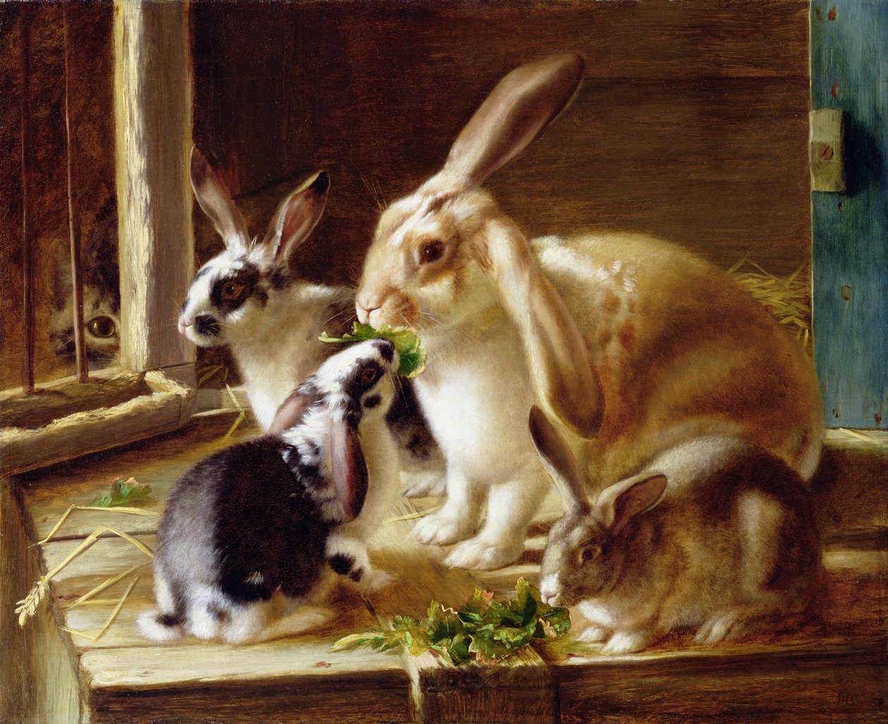 Hosszú fülű nyulak egy ketrecben, egy macska figyeli alkotó: Horatio Henry Couldery