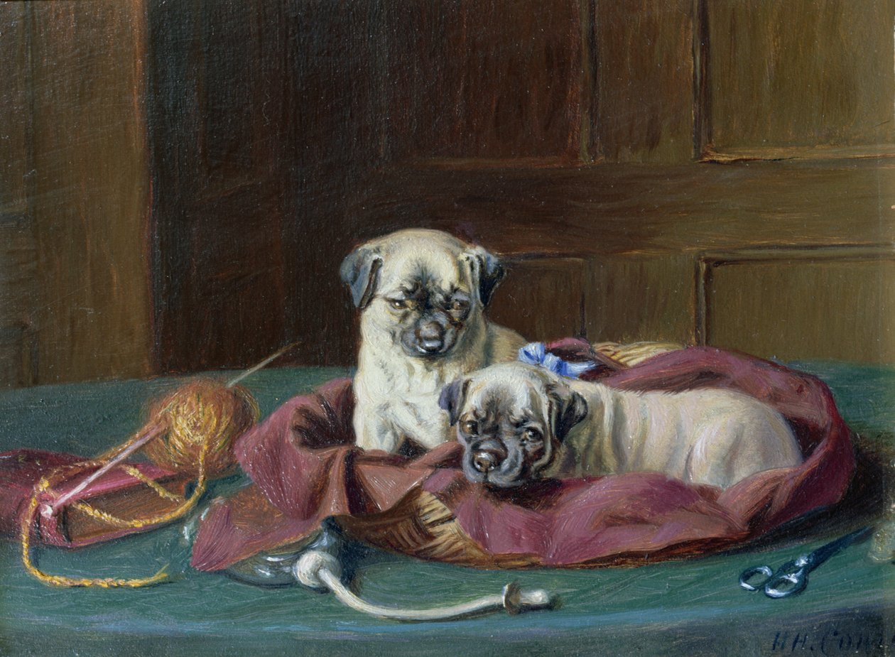 Mopsz kölykök egy kosárban (panel) alkotó: Horatio Henry Couldery