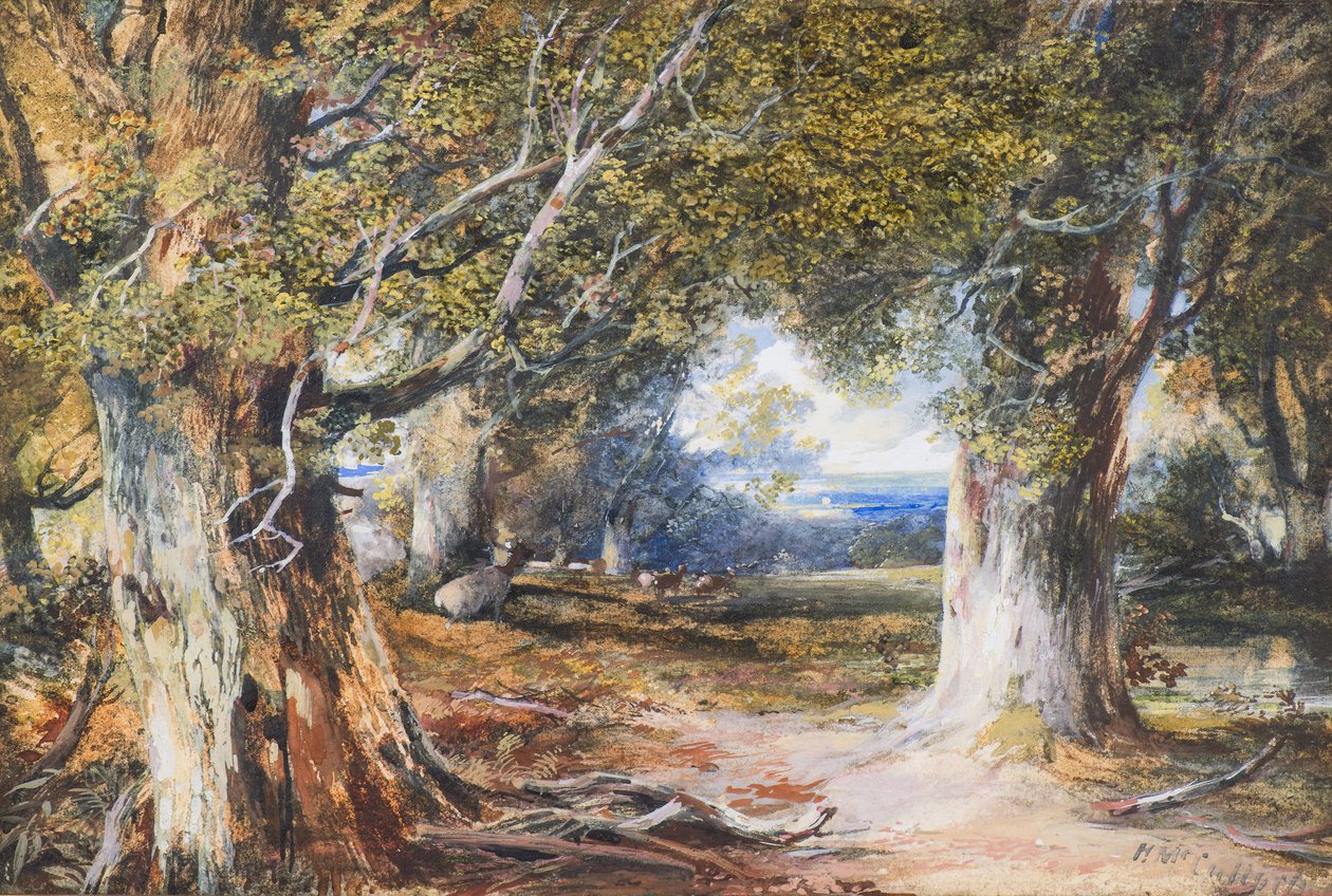 Az erdőben (akvarell) alkotó: Horatio McCulloch