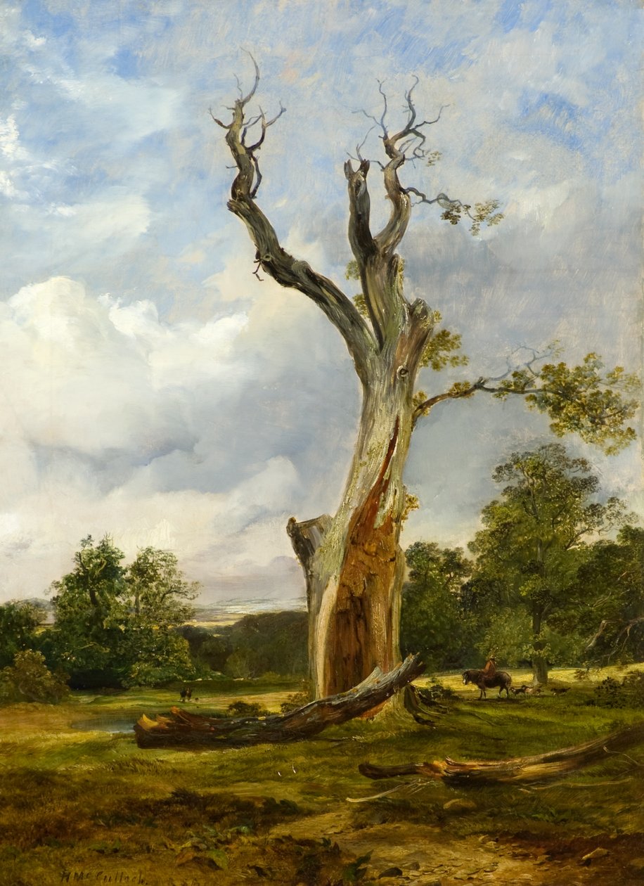 The Blasted Tree, 1838 körül (olaj, vászon) alkotó: Horatio McCulloch