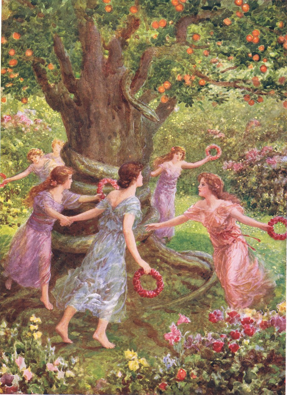 „Perseus látta őket táncolni az elbűvölő fa körül”, illusztráció a „Hogyan ölte meg Perszeus a Gorgont” című művéhez Charles Kingsley (1819-75) A görög tündérmesék hőseiből (színes litó) alkotó: Howard Davie