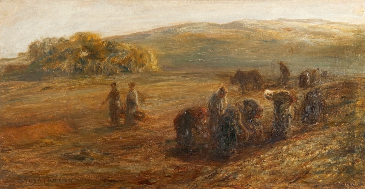 Burgonya emelése alkotó: Hugh Cameron
