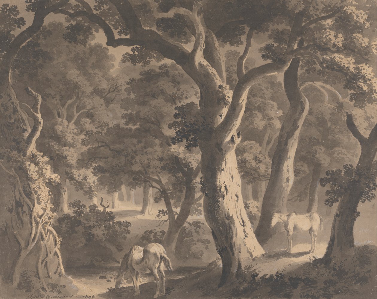 Wychwood-erdő alkotó: Hugh William Grecian Williams
