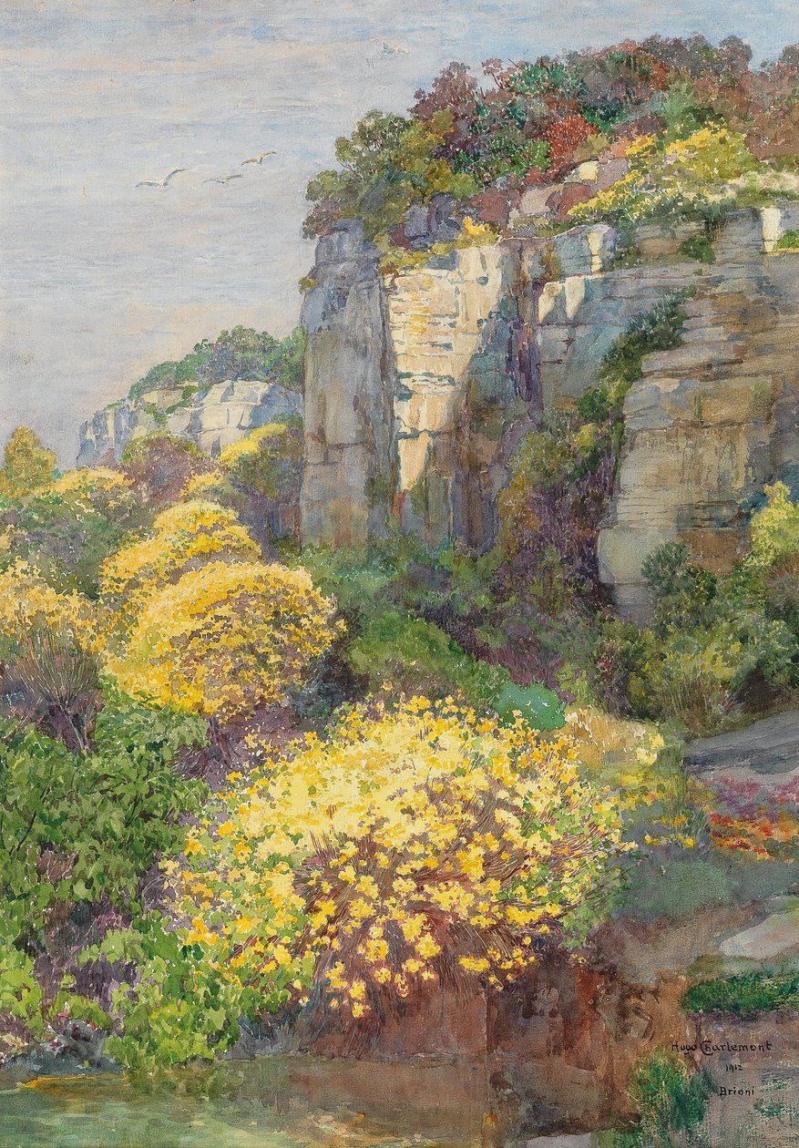 Ginsterblute auf BrioninEnglish: Broom in bloom on Brionin alkotó: Hugo Charlemont