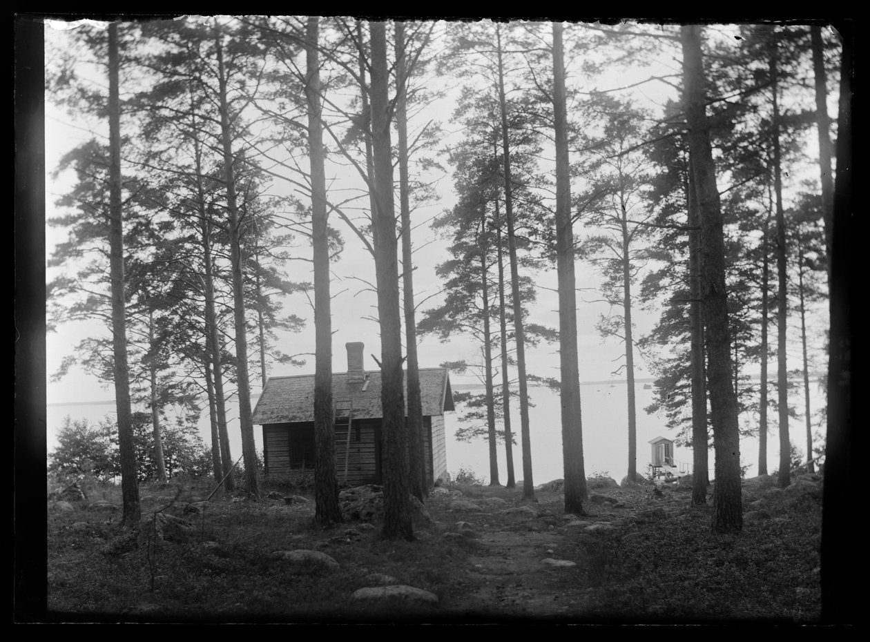 Szauna Selkärantában alkotó: Hugo Simberg