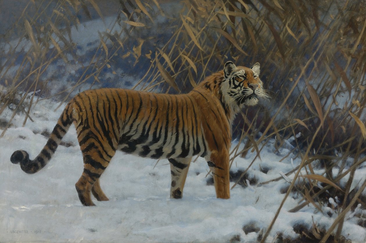 ""A tigris a hóban"" (A tigris a hóban) Hugo Ungewitter (1869-1944) festménye 1912 Magángyűjtemény alkotó: Hugo Ungewitter