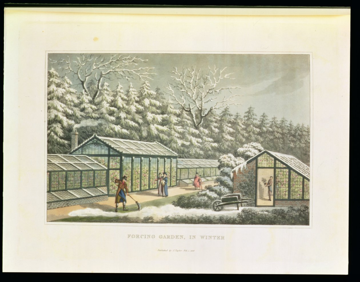 Forcing Garden in Winter, a Töredékek a tájkertészet elméletéről és gyakorlatáról című kötetből, pub. 1816 alkotó: Humphry Repton