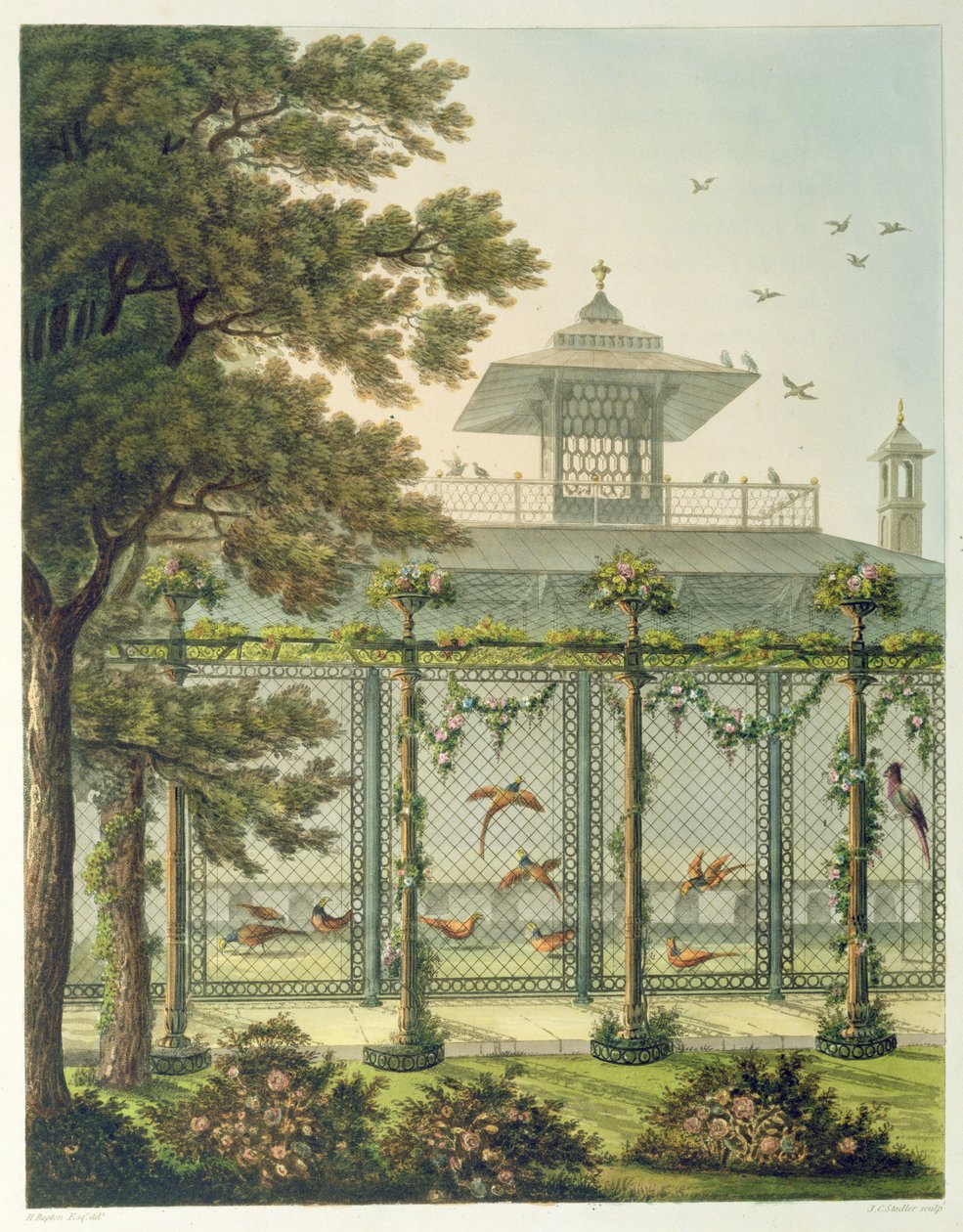 A fácánfa, Joseph Constantine Stadler (fl.1780-1812) metszete a "Designs for the Pavilion at Brighton"-ból, pub. 1808 alkotó: Humphry Repton