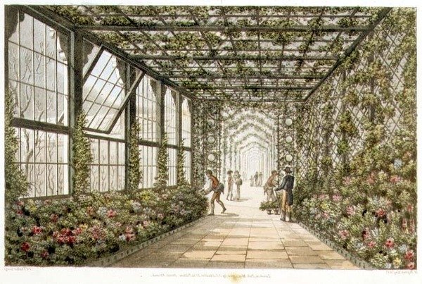 Egy konzervatórium folyosója, metszet: Joseph Constantine Stadler (1780-1812), "Designs for the Pavilion at Brighton", pub. 1808 (színes litográfia) alkotó: Humphry Repton