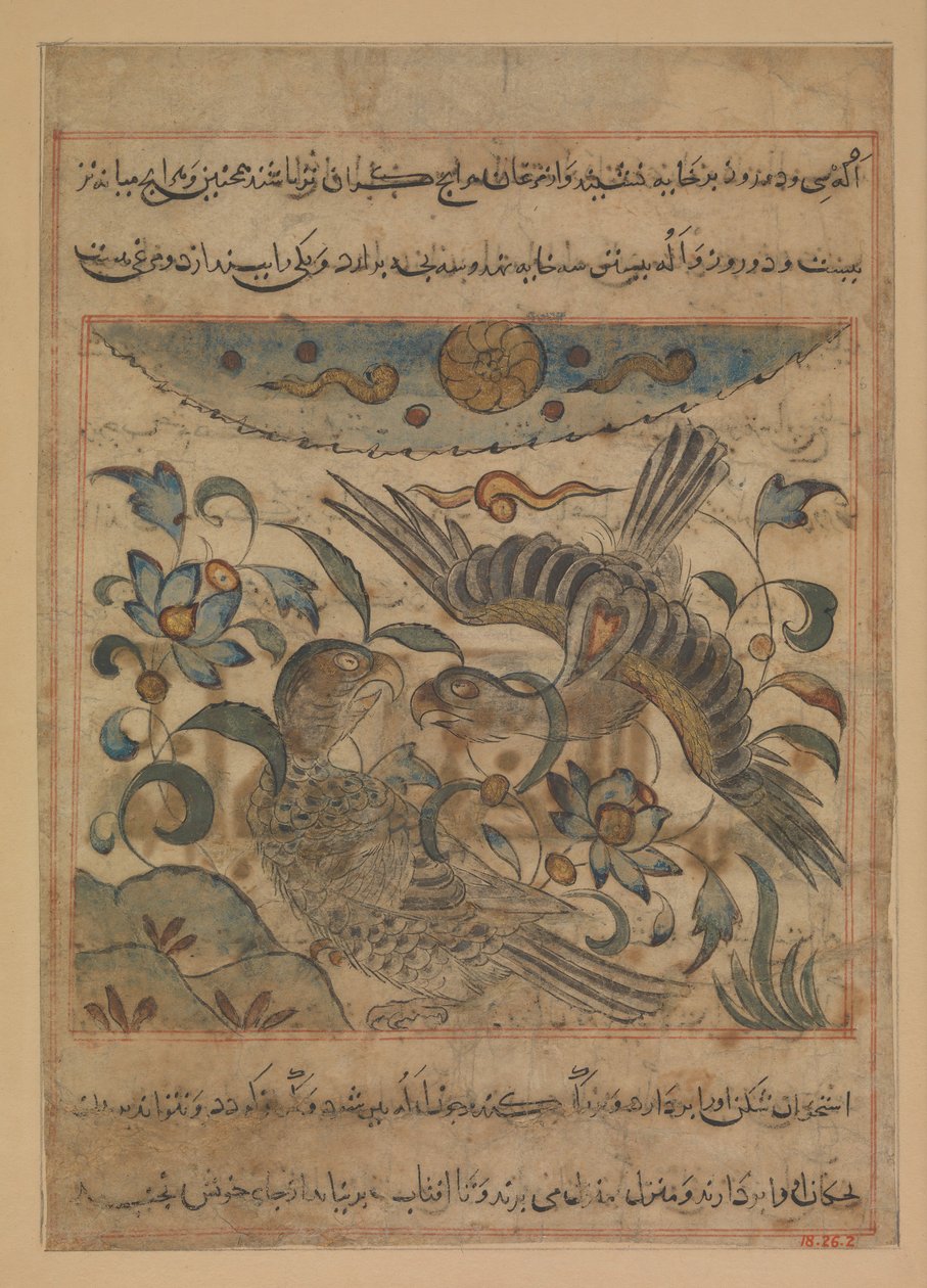 Pair of Eagles, Folio egy Manafi