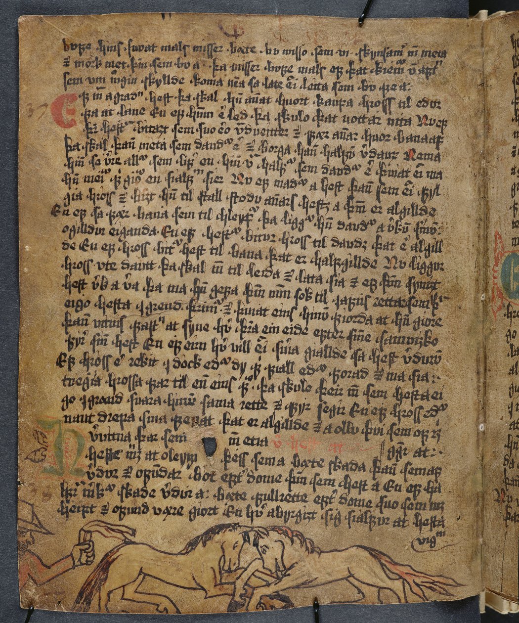 Lóviadal, Heynesbokból (Heynes könyve), 16. század 1. fele alkotó: Icelandic School