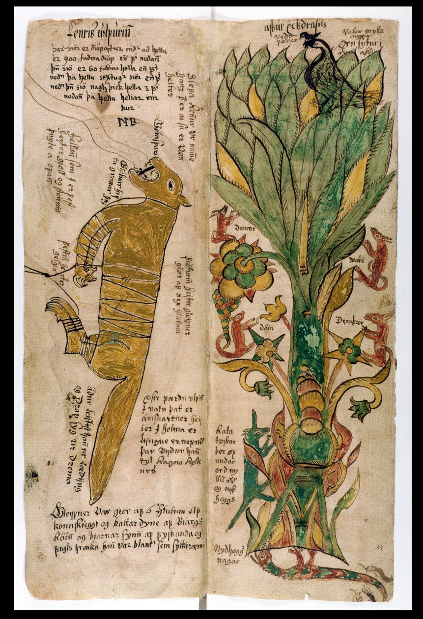 A Farkas Fenrir és a Világfa Yggdrasil, 1680 alkotó: Icelandic School