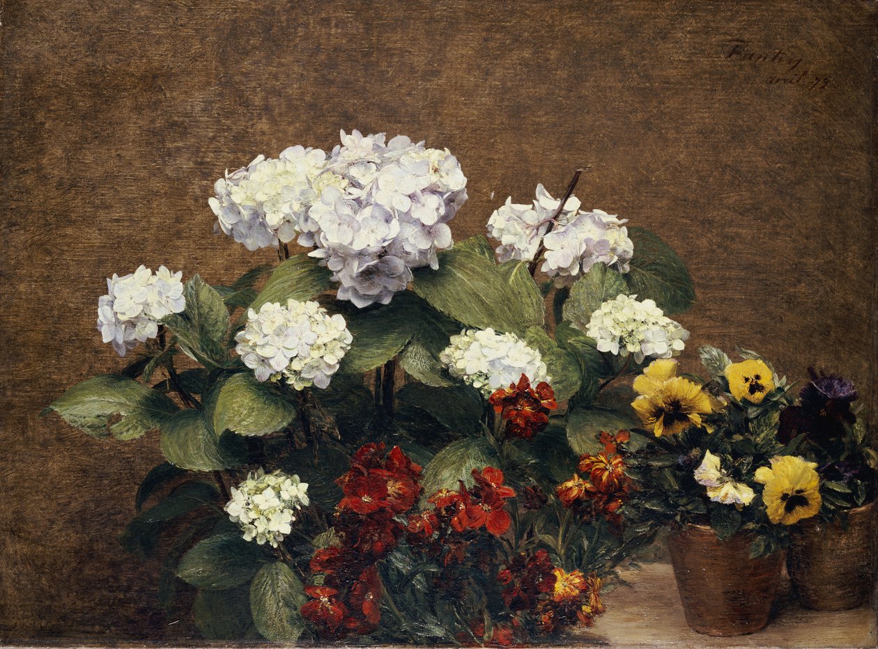 Hortensiák és készletek két cserép árvácskával, 1879 alkotó: Ignace Henri Jean Fantin Latour