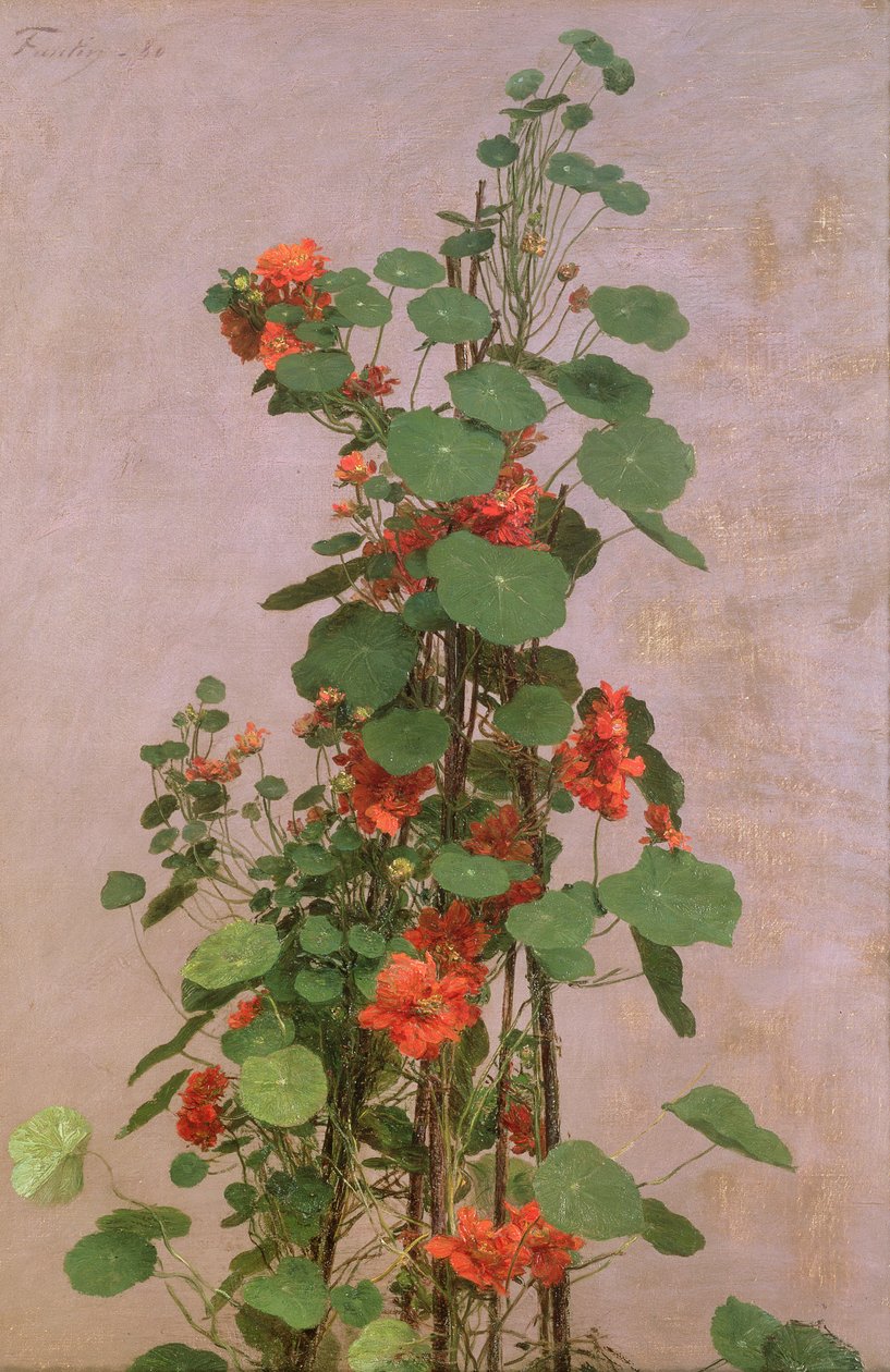 Nasturtium, 1880 alkotó: Ignace Henri Jean Fantin Latour