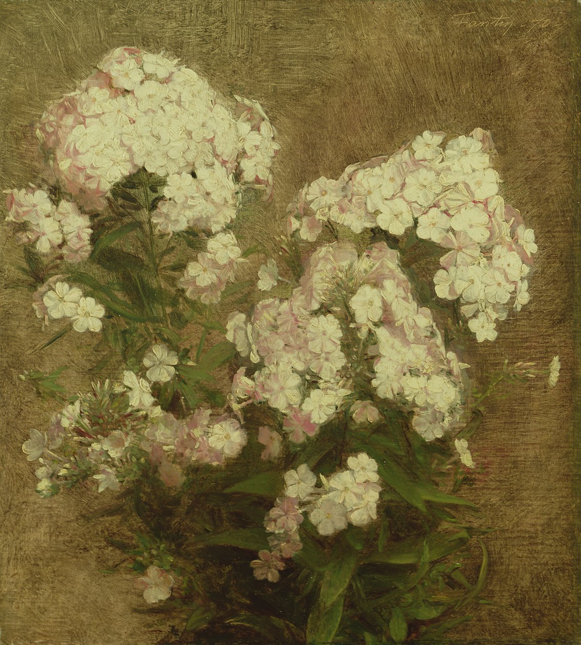 Phlox, 1870 alkotó: Ignace Henri Jean Fantin Latour