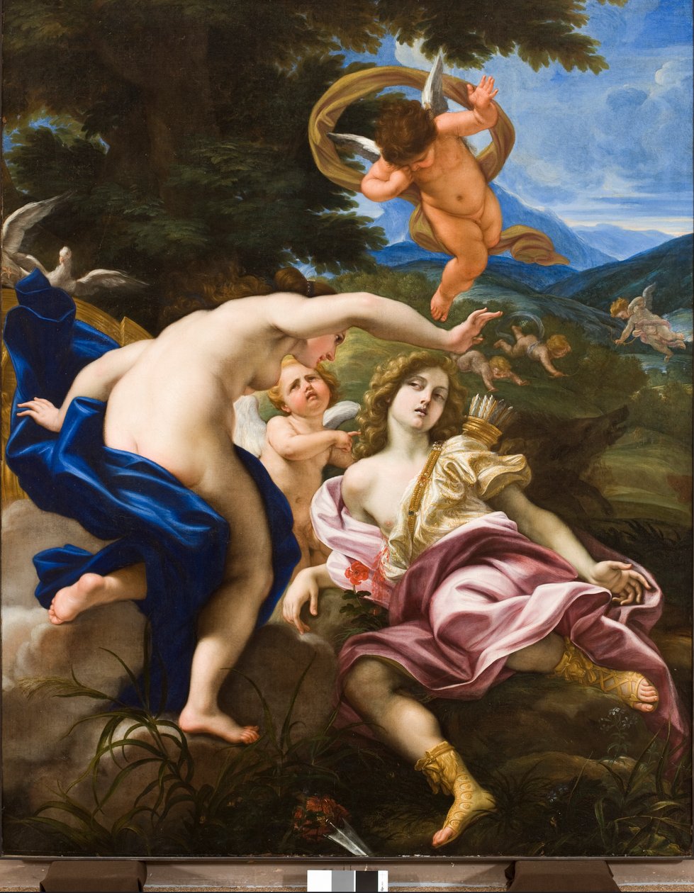 Adonisz halála, 1683-85 körül alkotó: Il Baciccio