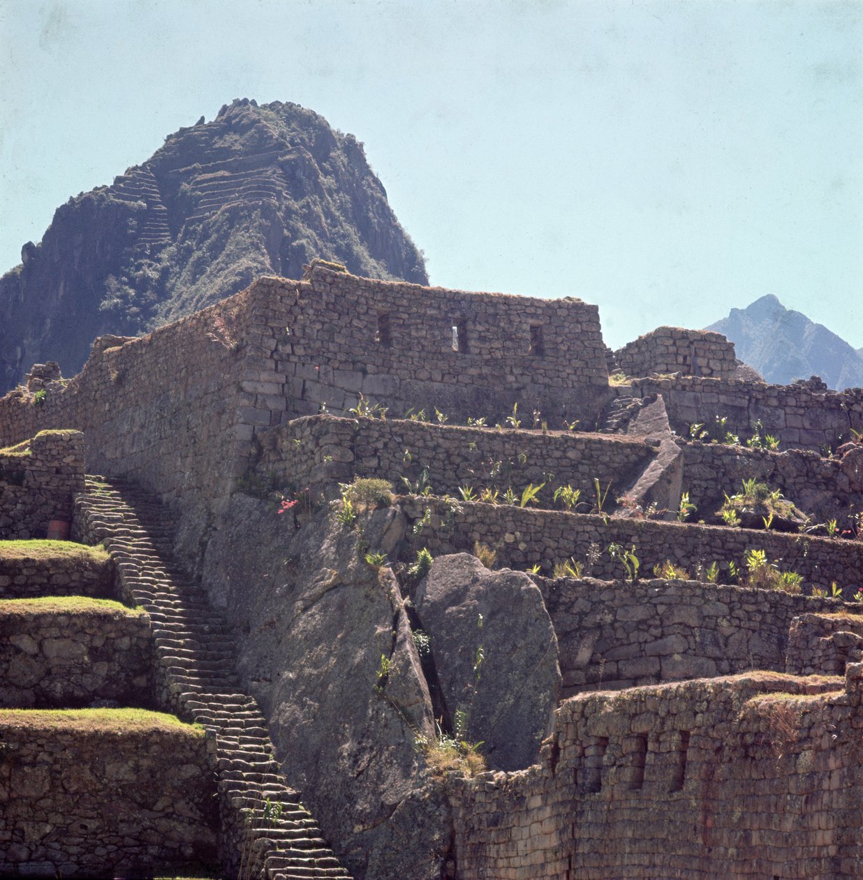 A Machu Picchu-i citadella teraszos épületeinek romjai alkotó: Incan