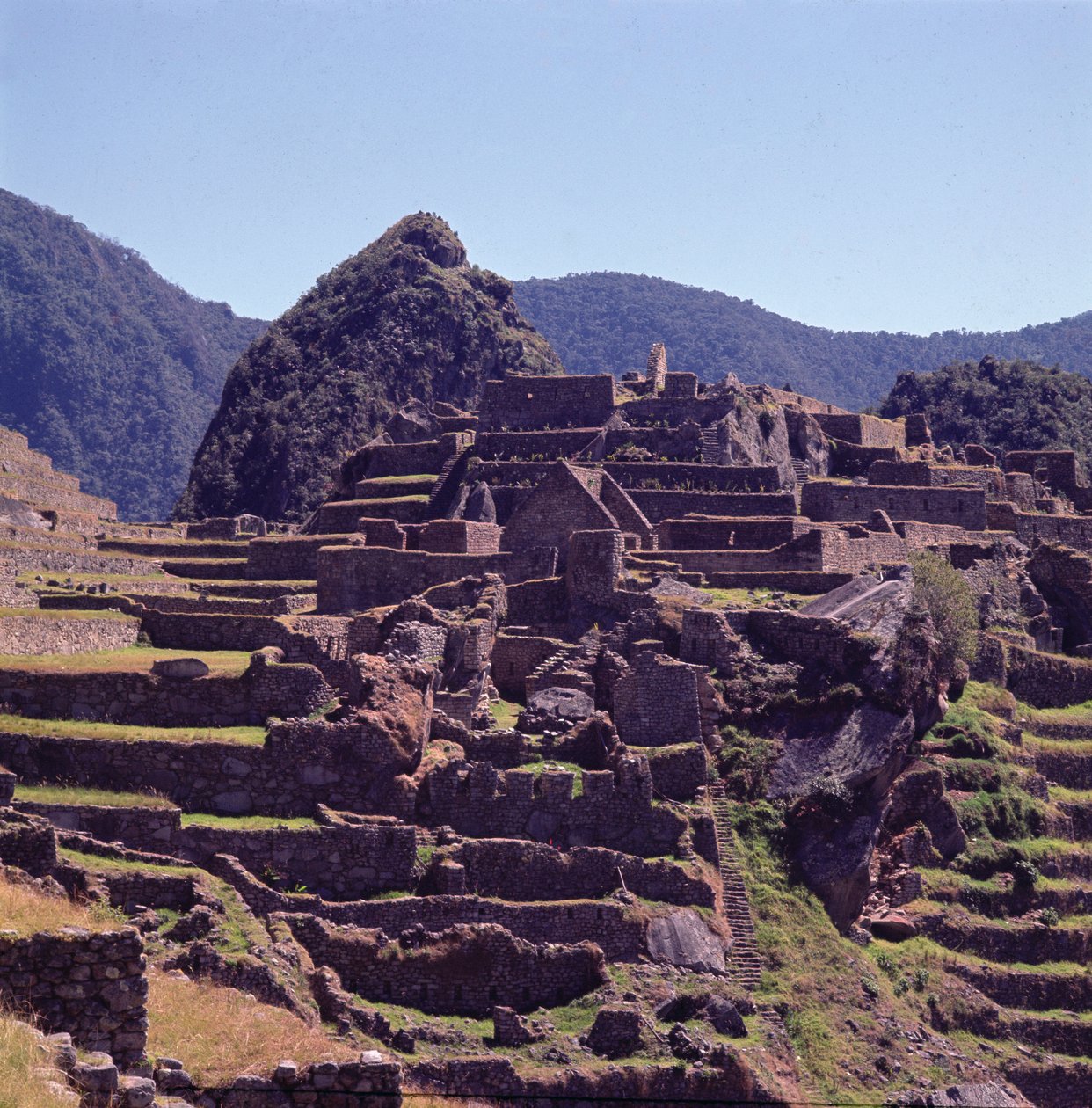 A Machu Picchu fellegvárának teraszos épületei alkotó: Incan