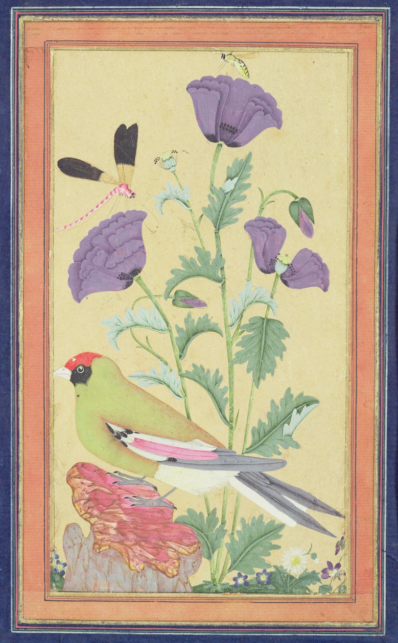 Pinty, pipacsok, szitakötő és méhecske, 1650-70 körül (wc és arany papíron) alkotó: Indian School