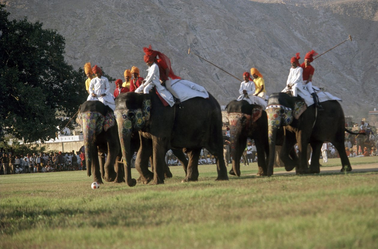 Férfiak elefántpólóznak (fotó) alkotó: Indian Photographer