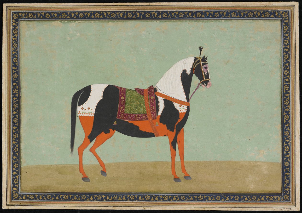 Egy ló, albumfólió, 19. század (átlátszatlan akvarell és arany papíron) alkotó: Indian School