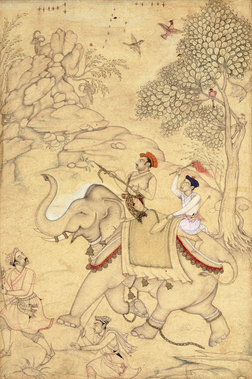 Vadászat herceg, elefántra ülve, 1600-1650 körül alkotó: Indian School