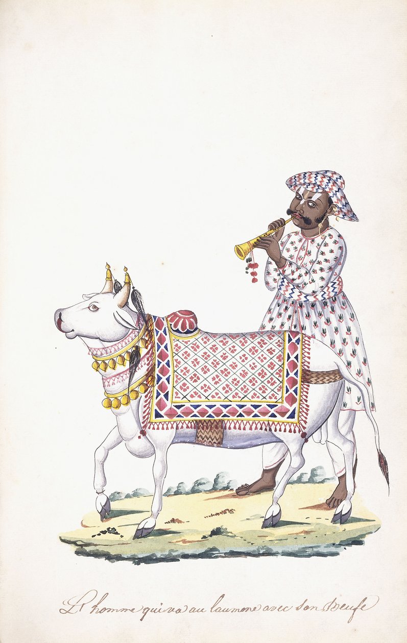 Egy ember az ökrével, c. 1825 (ceruza, toll, fekete tinta, w/c, Whatman papíron) alkotó: Indian School