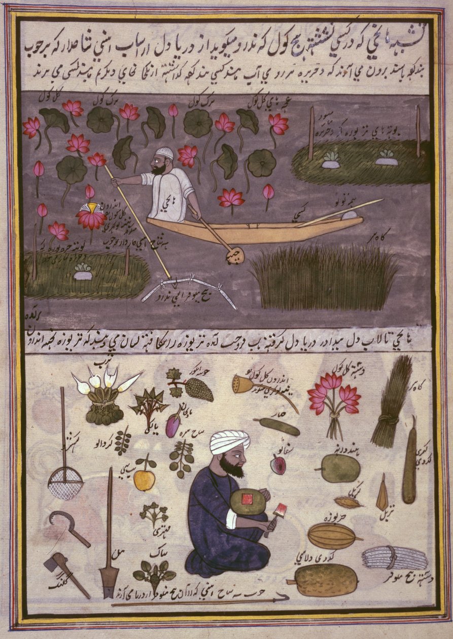 „Kasmíri mesterségek albuma”, 1860 körül (akvarell papíron) alkotó: Indian School