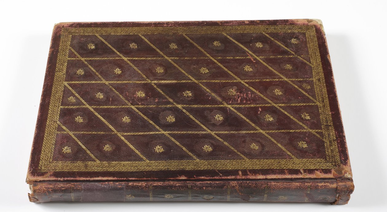 Mogul dinasztikus genealógiai album, 1855 (bőr arany részlettel) alkotó: Indian School