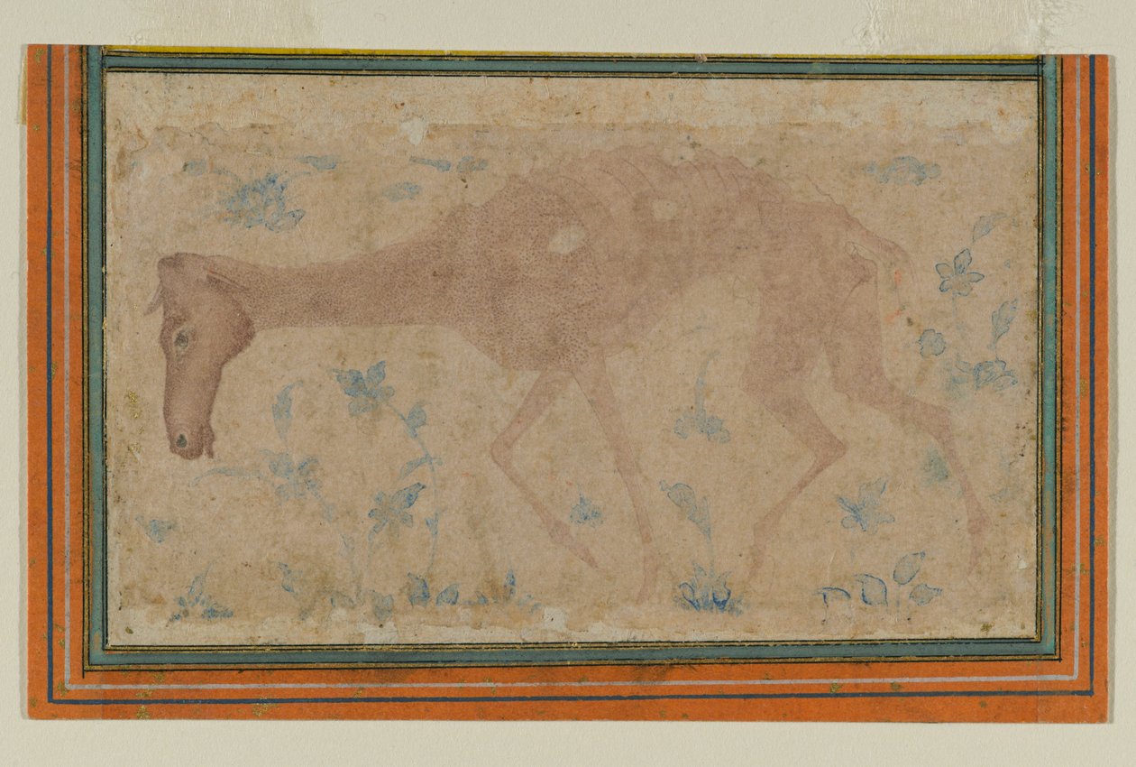 Egy lesoványodott ló, mogulból vagy dekkánból, 17. század közepe (tinta és színes mosás papíron) alkotó: Indian School