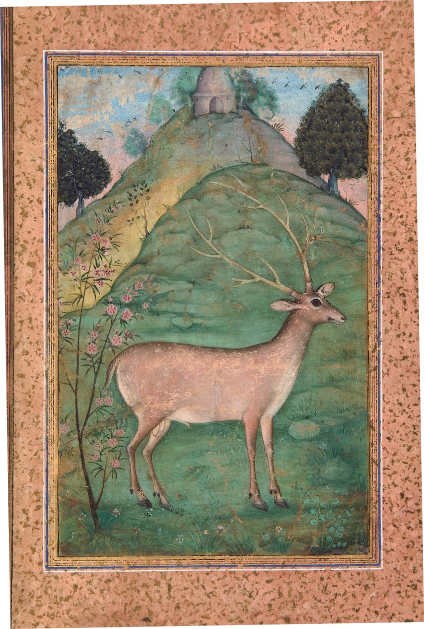Buck in a Landscape, 1595 körül (átlátszatlan wc és arany papíron) alkotó: Indian School