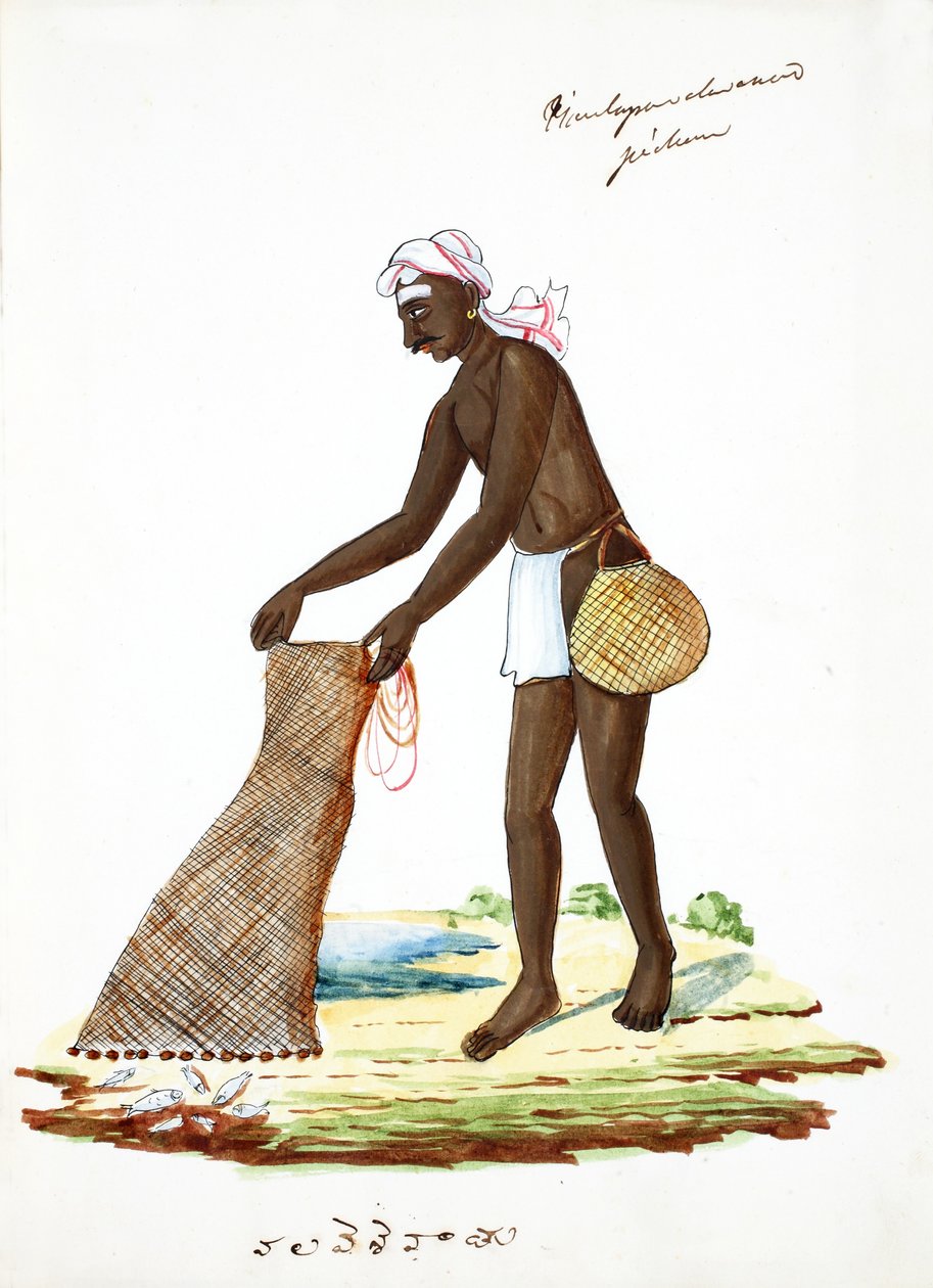 Halász (wc papíron) alkotó: Indian School